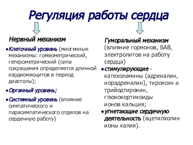 Регуляция работы сердца Нервный механизм Клеточный уровень (миогенные механизмы: гомеометрический, гетерометрический