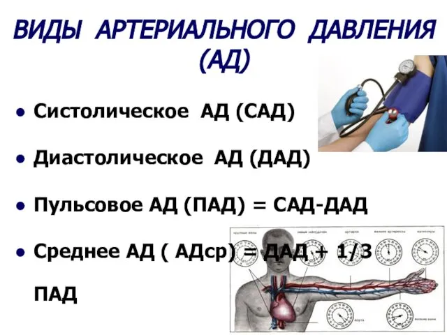 ВИДЫ АРТЕРИАЛЬНОГО ДАВЛЕНИЯ (АД) Систолическое АД (САД) Диастолическое АД (ДАД) Пульсовое