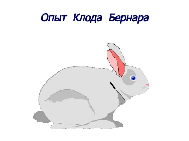 Опыт Клода Бернара