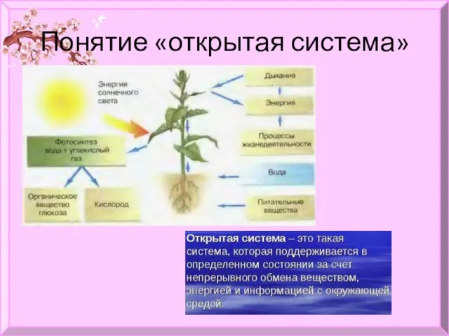 Понятие «открытая система»