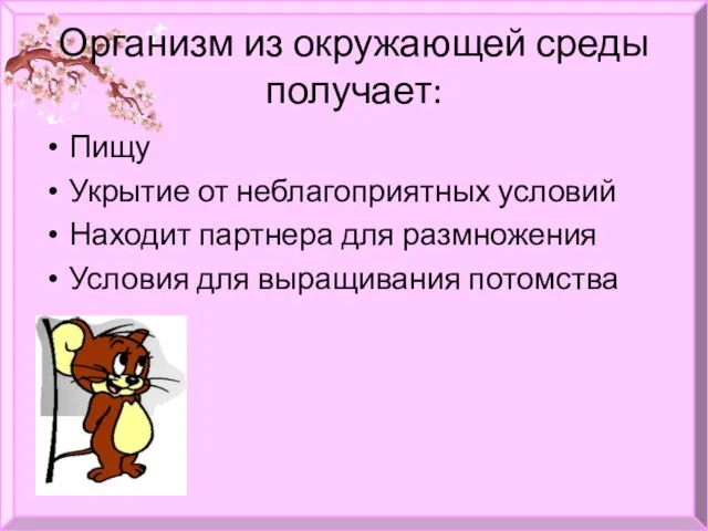 Организм из окружающей среды получает: Пищу Укрытие от неблагоприятных условий Находит