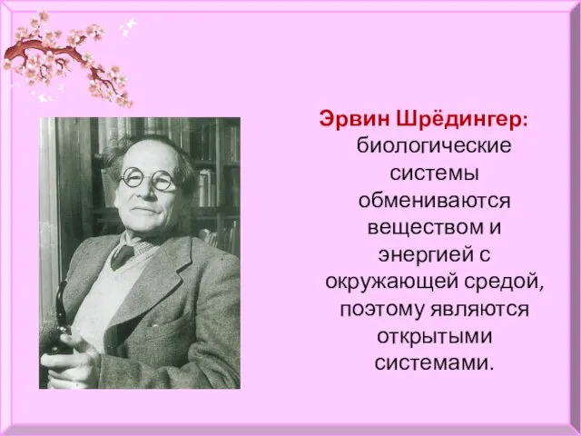 Эрвин Шрёдингер: биологические системы обмениваются веществом и энергией с окружающей средой, поэтому являются открытыми системами.