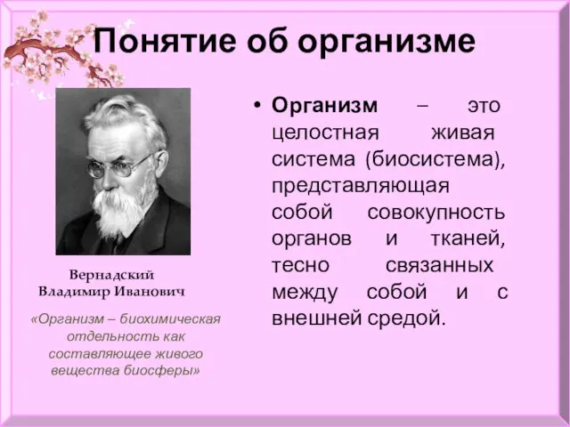 Понятие об организме Организм – это целостная живая система (биосистема), представляющая