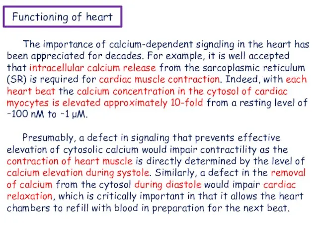 Functioning of heart The importance of calcium-dependent signaling in the heart