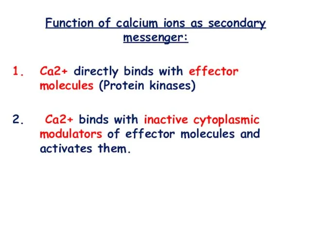 Function of calcium ions as secondary messenger: Са2+ directly binds with