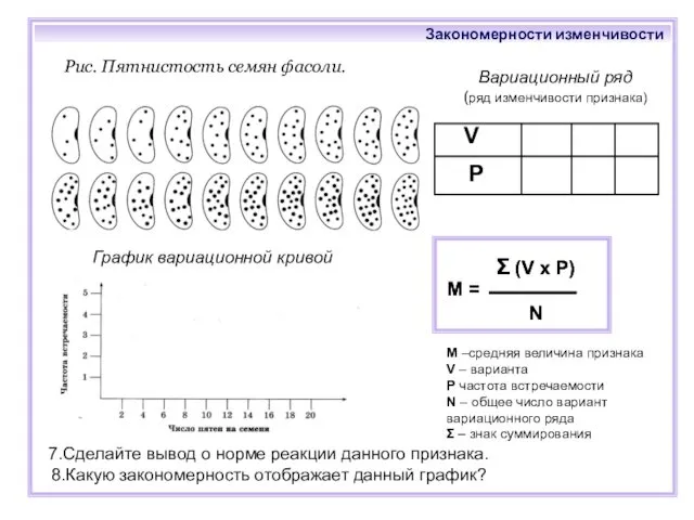 Рис. Пятнистость семян фасоли. График вариационной кривой Вариационный ряд (ряд изменчивости