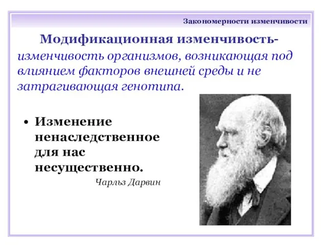 Закономерности изменчивости Модификационная изменчивость- изменчивость организмов, возникающая под влиянием факторов внешней