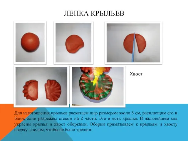 ЛЕПКА КРЫЛЬЕВ Для изготовления крыльев раскатаем шар размером около 3 см,