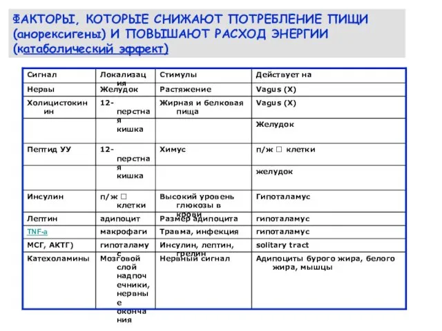 ФАКТОРЫ, КОТОРЫЕ СНИЖАЮТ ПОТРЕБЛЕНИЕ ПИЩИ (анорексигены) И ПОВЫШАЮТ РАСХОД ЭНЕРГИИ (катаболический эффект)