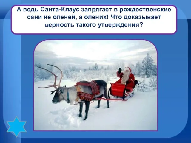 А ведь Санта-Клаус запрягает в рождественские сани не оленей, а олених!