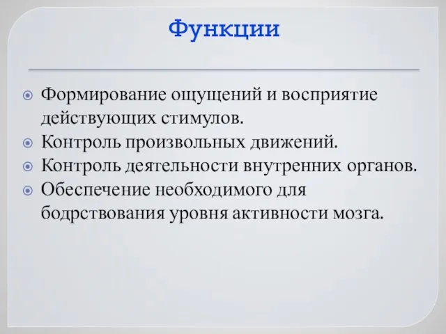 Функции Формирование ощущений и восприятие действующих стимулов. Контроль произвольных движений. Контроль