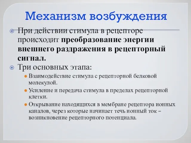 Механизм возбуждения При действии стимула в рецепторе происходит преобразование энергии внешнего