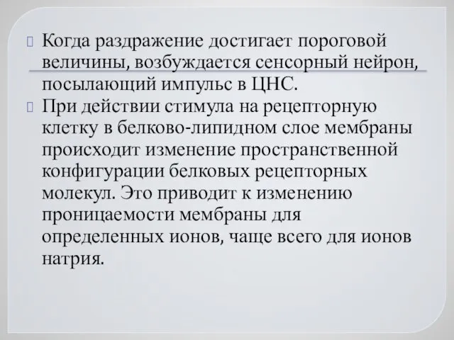 Когда раздражение достигает пороговой величины, возбуждается сенсорный нейрон, посылающий импульс в