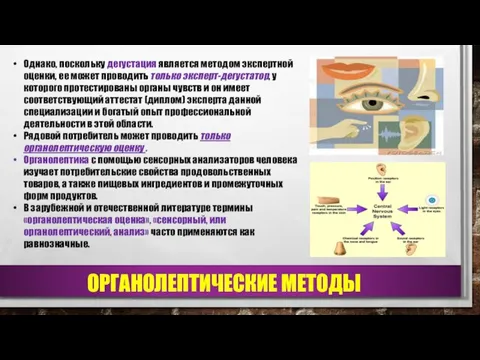 Однако, поскольку дегустация является методом экспертной оценки, ее может проводить только