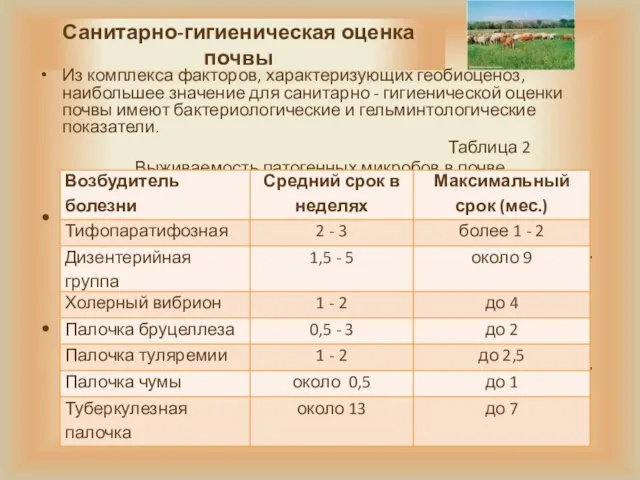 Санитарно-гигиеническая оценка почвы Из комплекса факторов, характеризующих геобиоценоз, наибольшее значение для