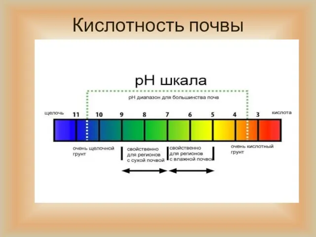 Кислотность почвы