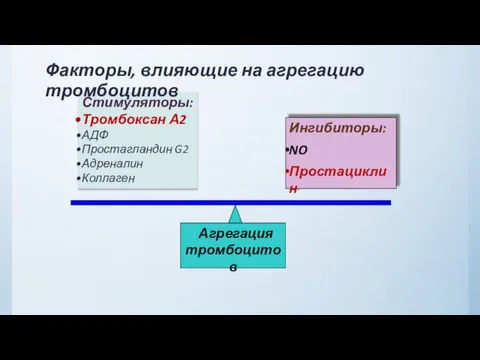 Ингибиторы: NO Простациклин Факторы, влияющие на агрегацию тромбоцитов