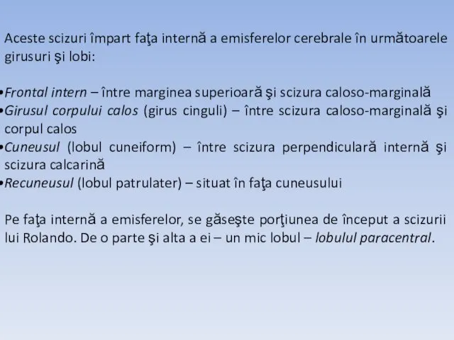 Aceste scizuri împart faţa internă a emisferelor cerebrale în următoarele girusuri