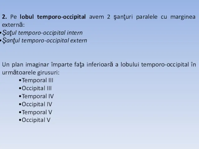 2. Pe lobul temporo-occipital avem 2 şanţuri paralele cu marginea externă: