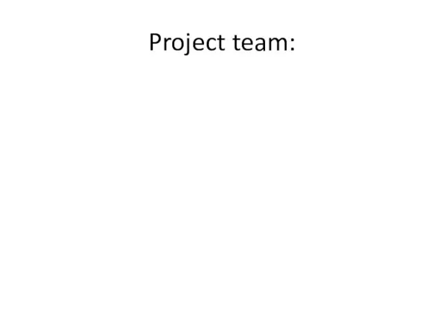 Project team: