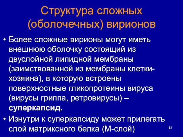 Структура сложных (оболочечных) вирионов Более сложные вирионы могут иметь внешнюю оболочку