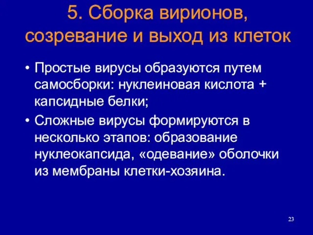 Простые вирусы образуются путем самосборки: нуклеиновая кислота + капсидные белки; Сложные