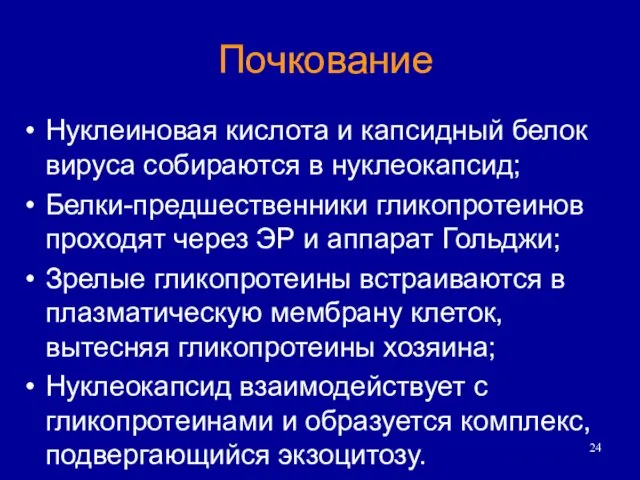 Почкование Нуклеиновая кислота и капсидный белок вируса собираются в нуклеокапсид; Белки-предшественники