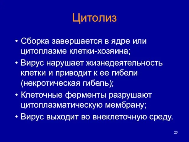 Цитолиз Сборка завершается в ядре или цитоплазме клетки-хозяина; Вирус нарушает жизнедеятельность