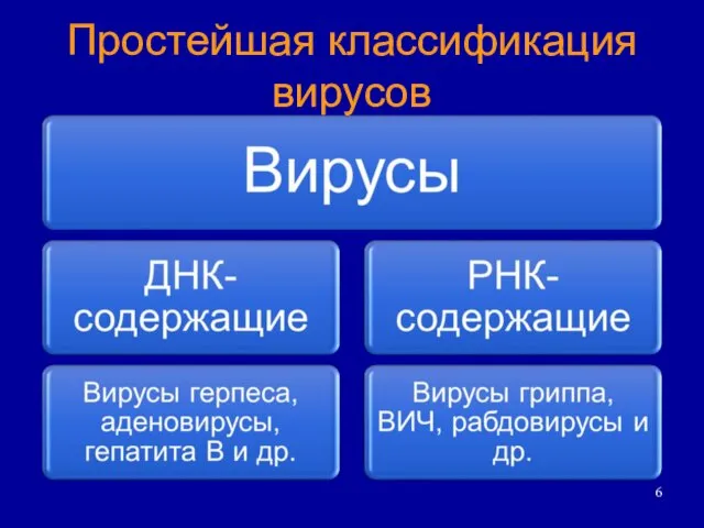 Простейшая классификация вирусов