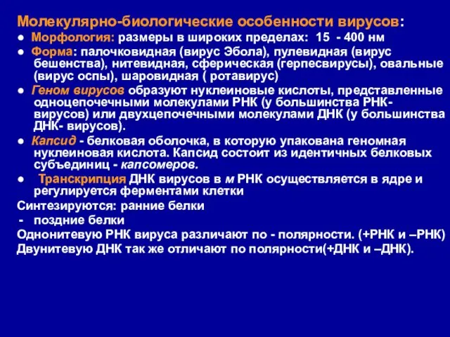 Молекулярно-биологические особенности вирусов: ● Морфология: размеры в широких пределах: 15 -