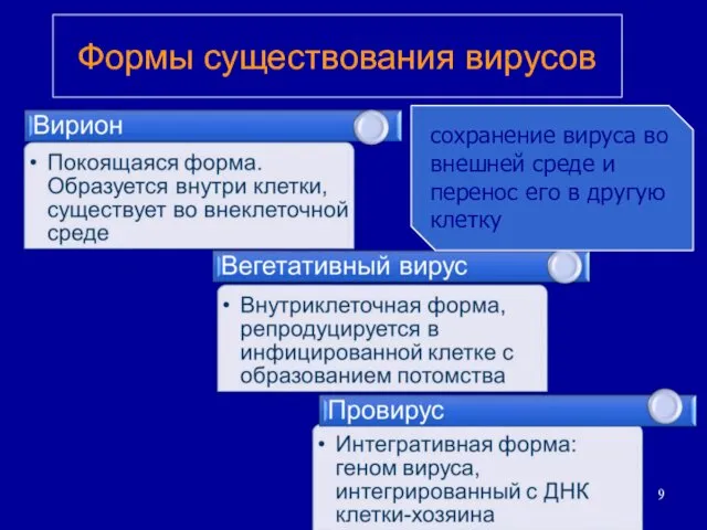 Формы существования вирусов сохранение вируса во внешней среде и перенос его в другую клетку