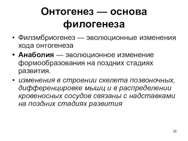 Онтогенез — основа филогенеза Филэмбриогенез — эволюционные изменения хода онтогенеза Анаболия