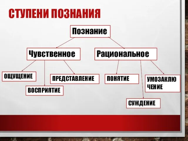 СТУПЕНИ ПОЗНАНИЯ Познание Чувственное Рациональное ОЩУЩЕНИЕ ВОСПРИЯТИЕ ПРЕДСТАВЛЕНИЕ ПОНЯТИЕ СУЖДЕНИЕ УМОЗАКЛЮЧЕНИЕ