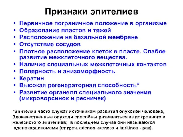 Признаки эпителиев Первичное пограничное положение в организме Образование пластов и тяжей