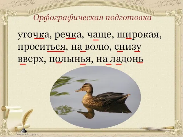 уточка, речка, чаще, широкая, проситься, на волю, снизу вверх, полынья, на ладонь Орфографическая подготовка