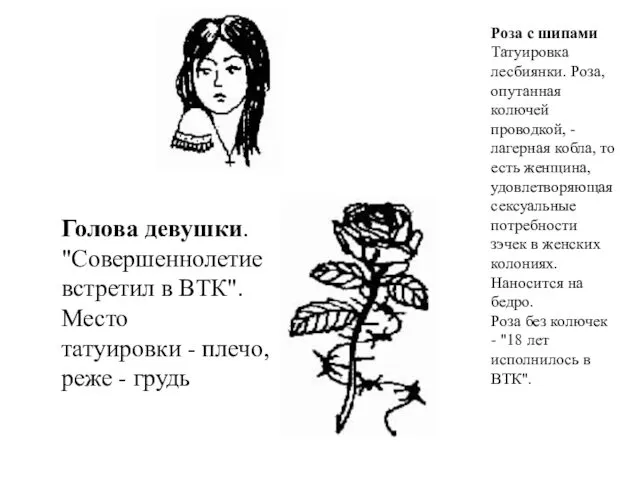 Голова девушки. "Совершеннолетие встретил в ВТК". Место татуировки - плечо, реже