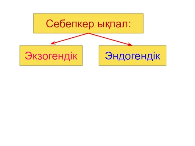 Себепкер ықпал: Экзогендік Эндогендік