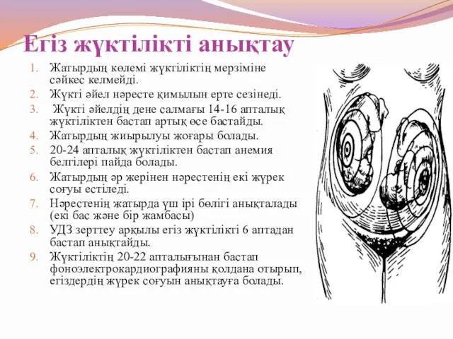 Егіз жүктілікті анықтау Жатырдың көлемі жүктіліктің мерзіміне сәйкес келмейді. Жүкті әйел