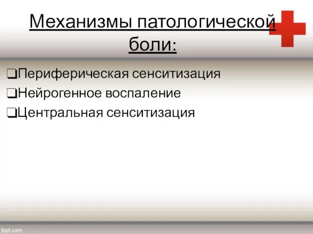 Механизмы патологической боли: Периферическая сенситизация Нейрогенное воспаление Центральная сенситизация