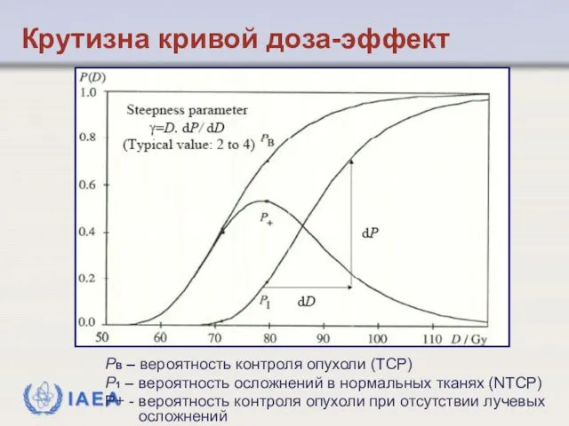 Крутизна кривой доза-эффект PB – вероятность контроля опухоли (TCP) P1 –