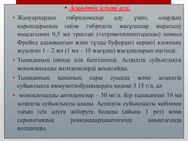 Асцидтік ісікті алу. Жануарлардан гибридомалар алу үшін, олардың қарындарының ішіне гибридтік