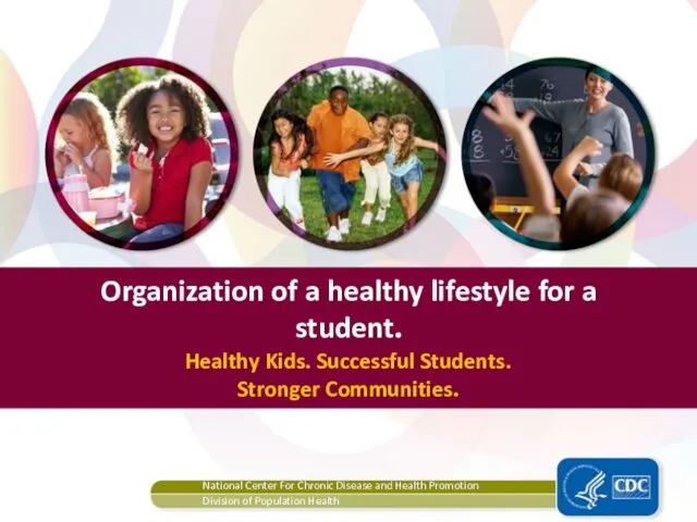 Organization of a healthy lifestyle for a student