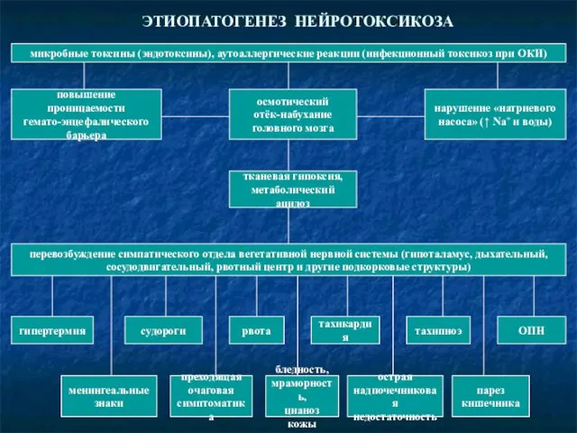 ЭТИОПАТОГЕНЕЗ НЕЙРОТОКСИКОЗА микробные токсины (эндотоксины), аутоаллергические реакции (инфекционный токсикоз при ОКИ)