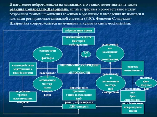 В патогенезе нейротоксикоза на начальных его этапах имеет значение также реакция