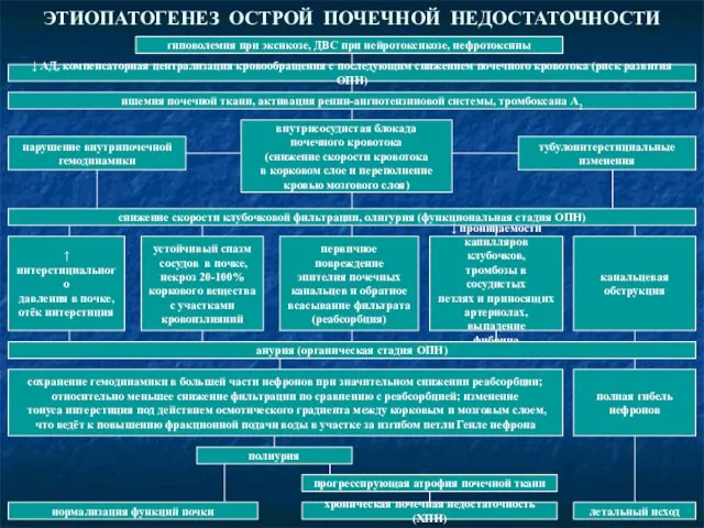 ЭТИОПАТОГЕНЕЗ ОСТРОЙ ПОЧЕЧНОЙ НЕДОСТАТОЧНОСТИ гиповолемия при эксикозе, ДВС при нейротоксикозе, нефротоксины