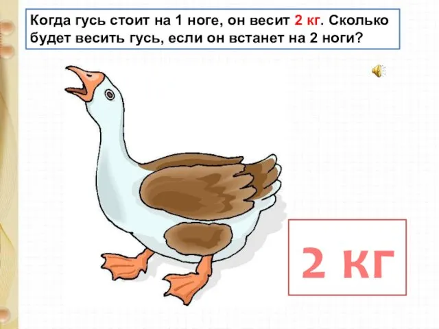 Когда гусь стоит на 1 ноге, он весит 2 кг. Сколько