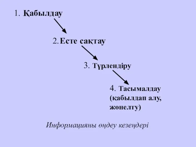 1. .Қабылдау 3. Түрлендіру 4. Тасымалдау (қабылдап алу, жөнелту) Информацияны өңдеу кезеңдері 2. Есте сақтау