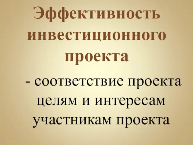 Эффективность инвестиционного проекта - соответствие проекта целям и интересам участникам проекта