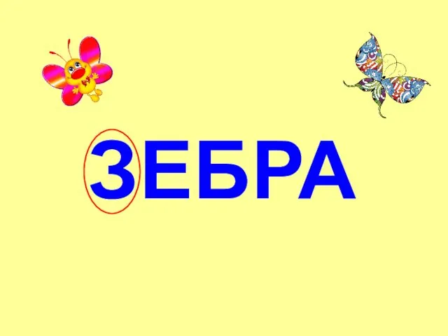 ЗЕБРА