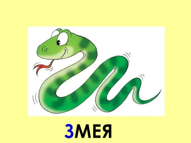 ЗМЕЯ